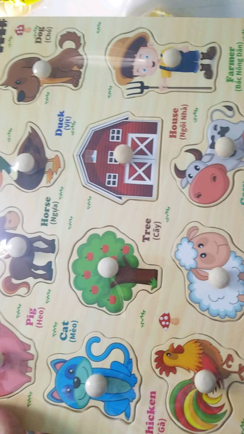 Ảnh đánh giá