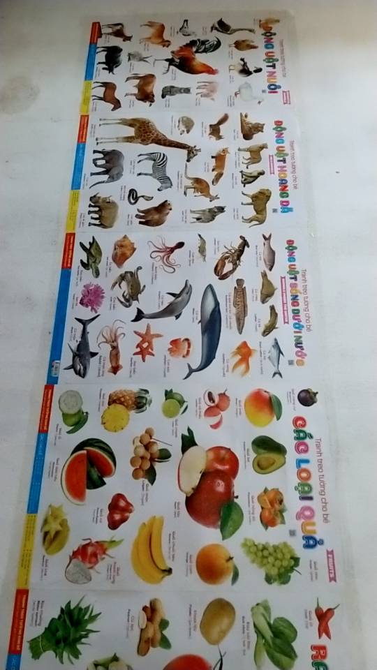 Ảnh đánh giá