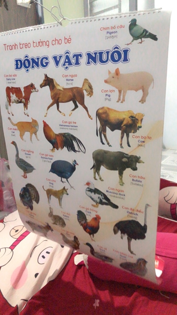 Ảnh đánh giá