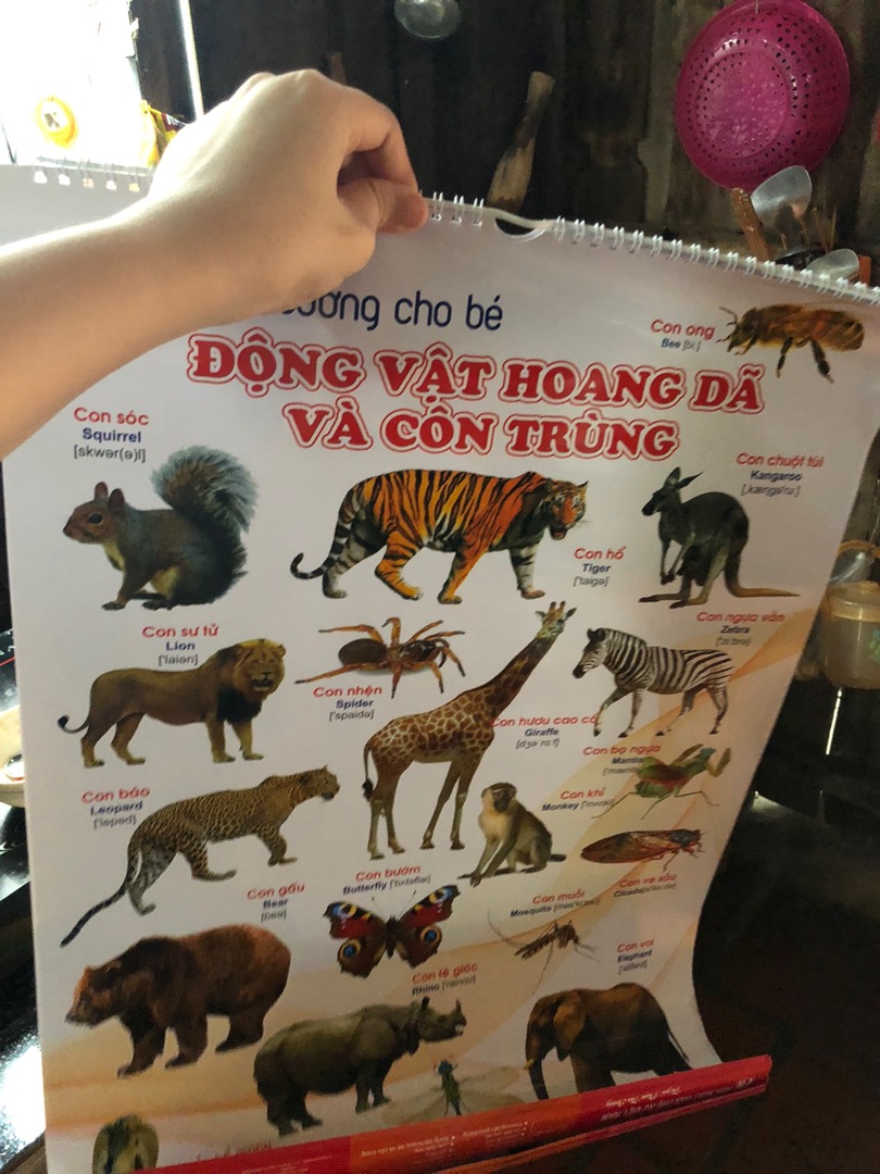 Ảnh đánh giá