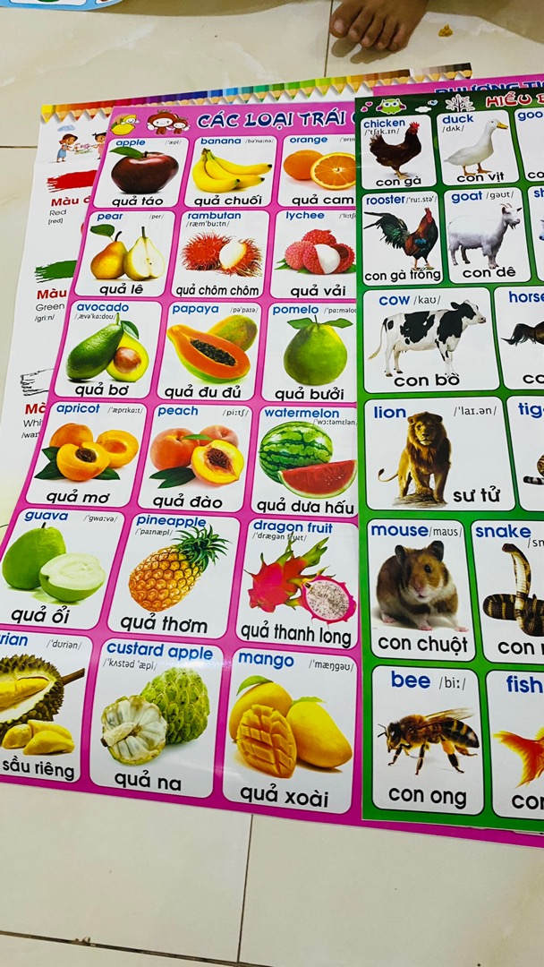 Ảnh đánh giá