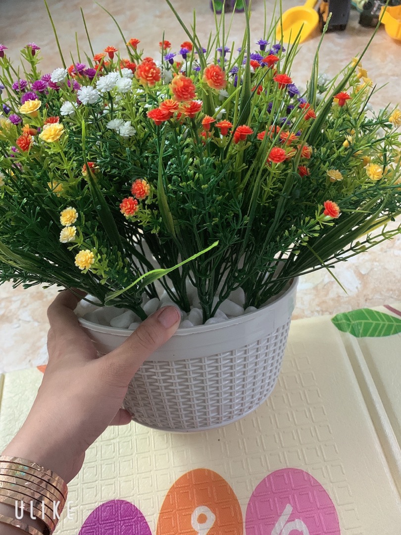 Ảnh đánh giá