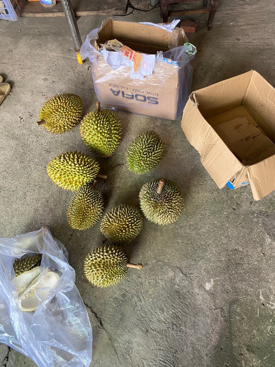 Ảnh đánh giá