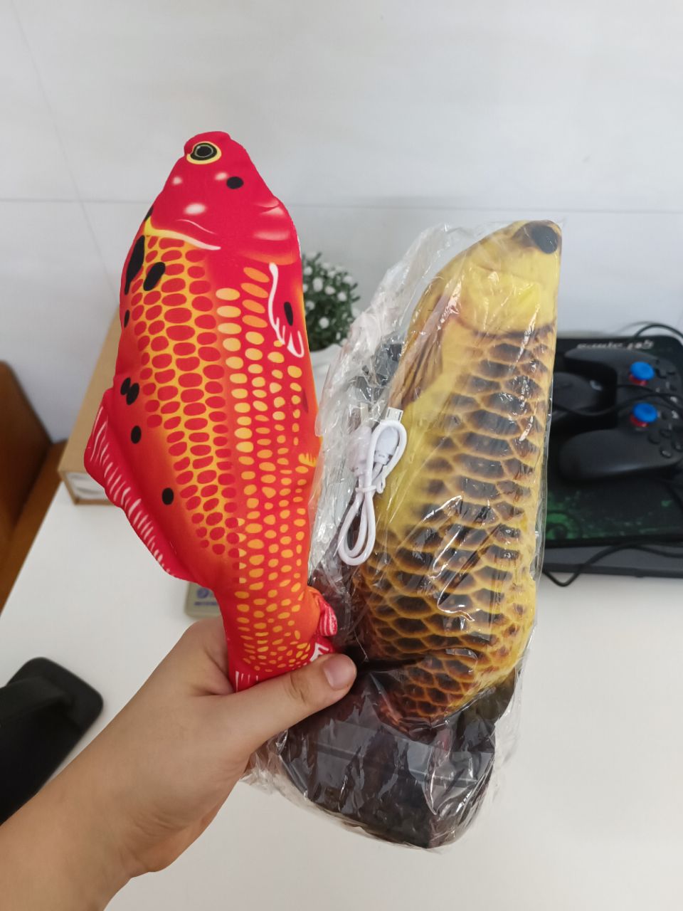 Ảnh đánh giá
