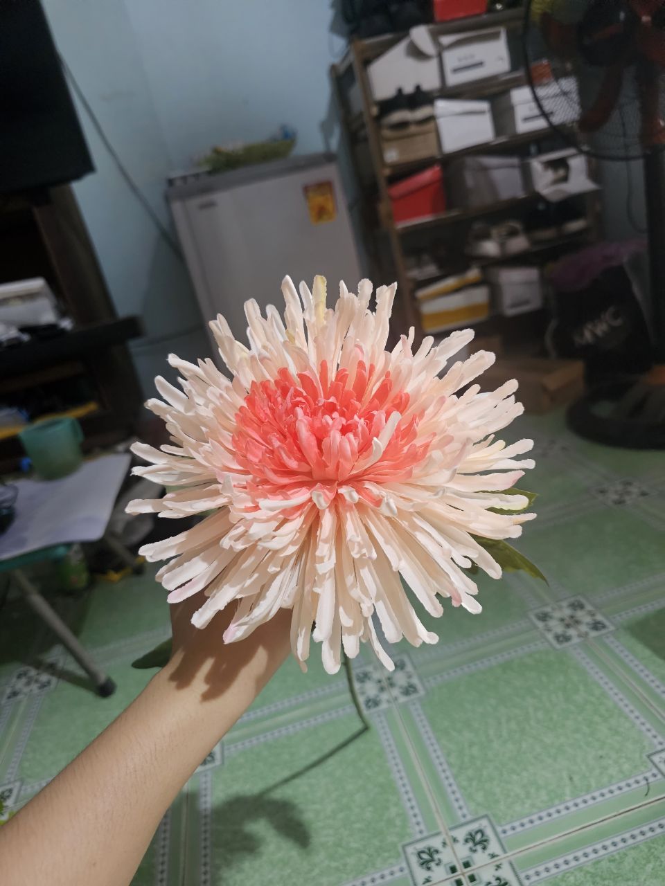 Ảnh đánh giá