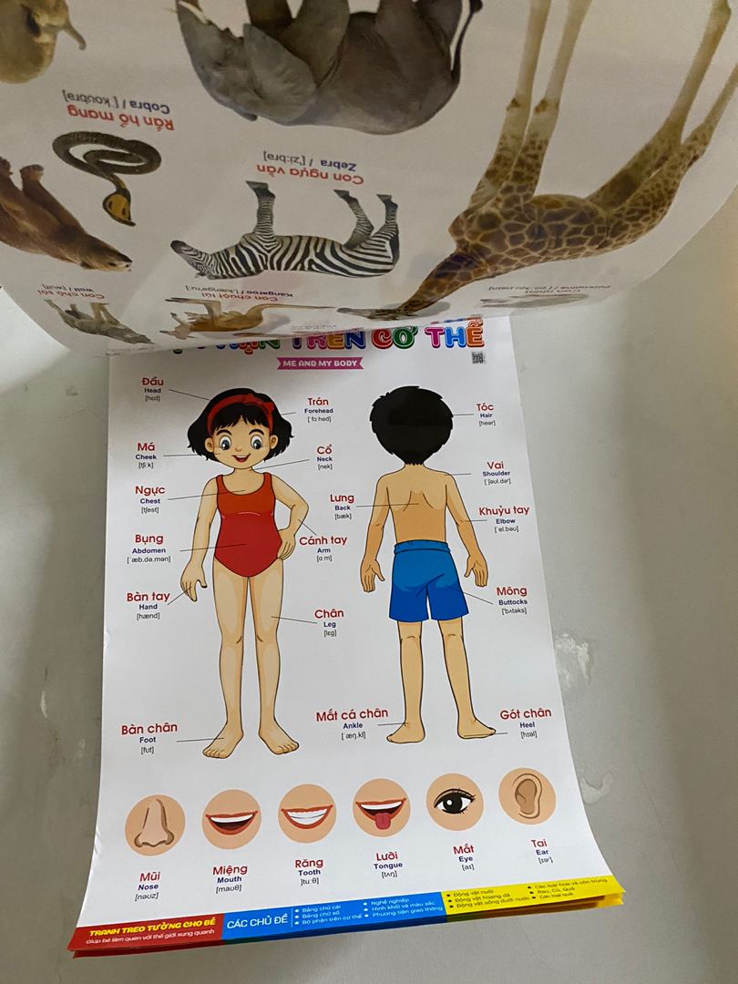 Ảnh đánh giá