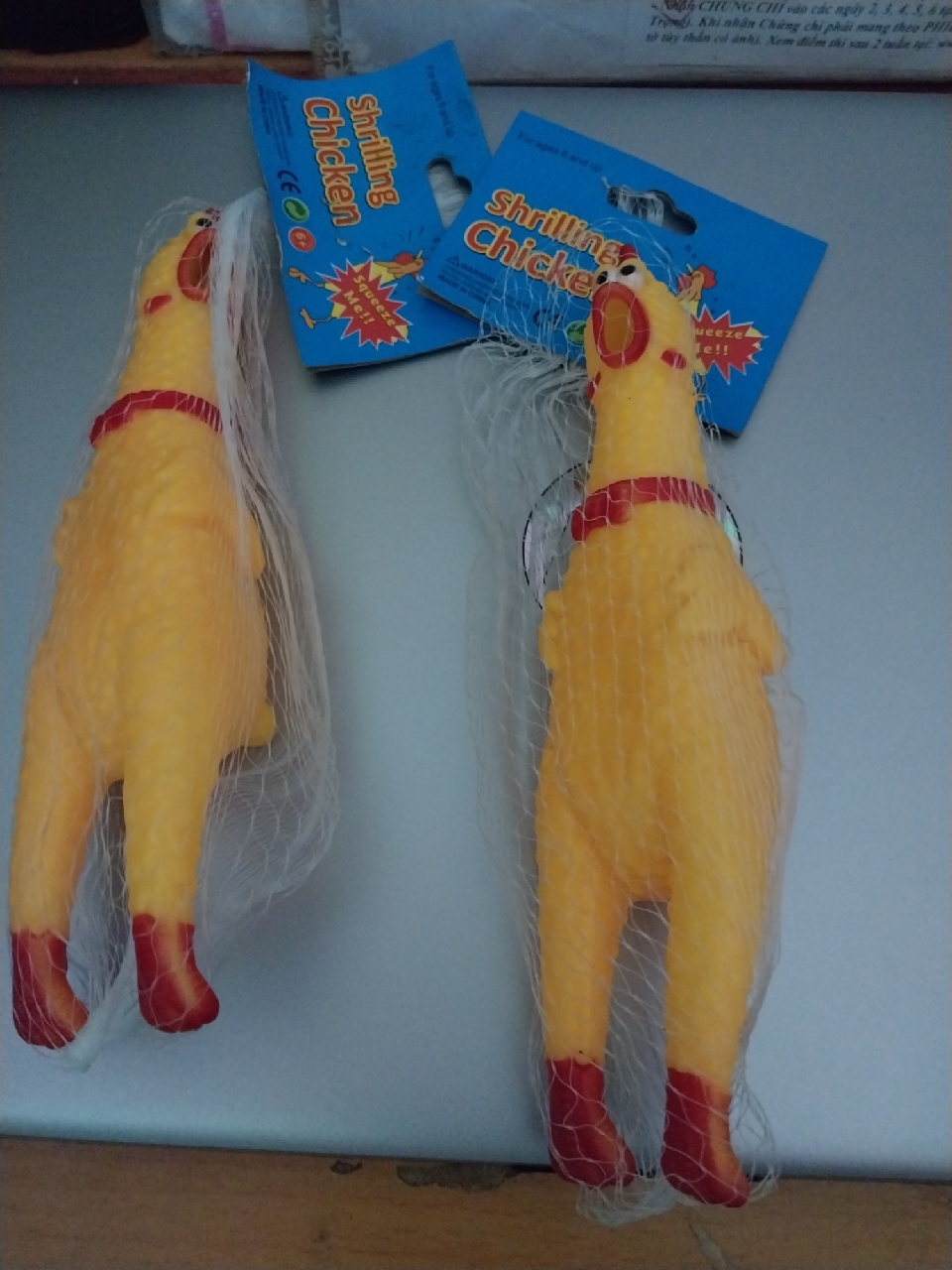 Ảnh đánh giá