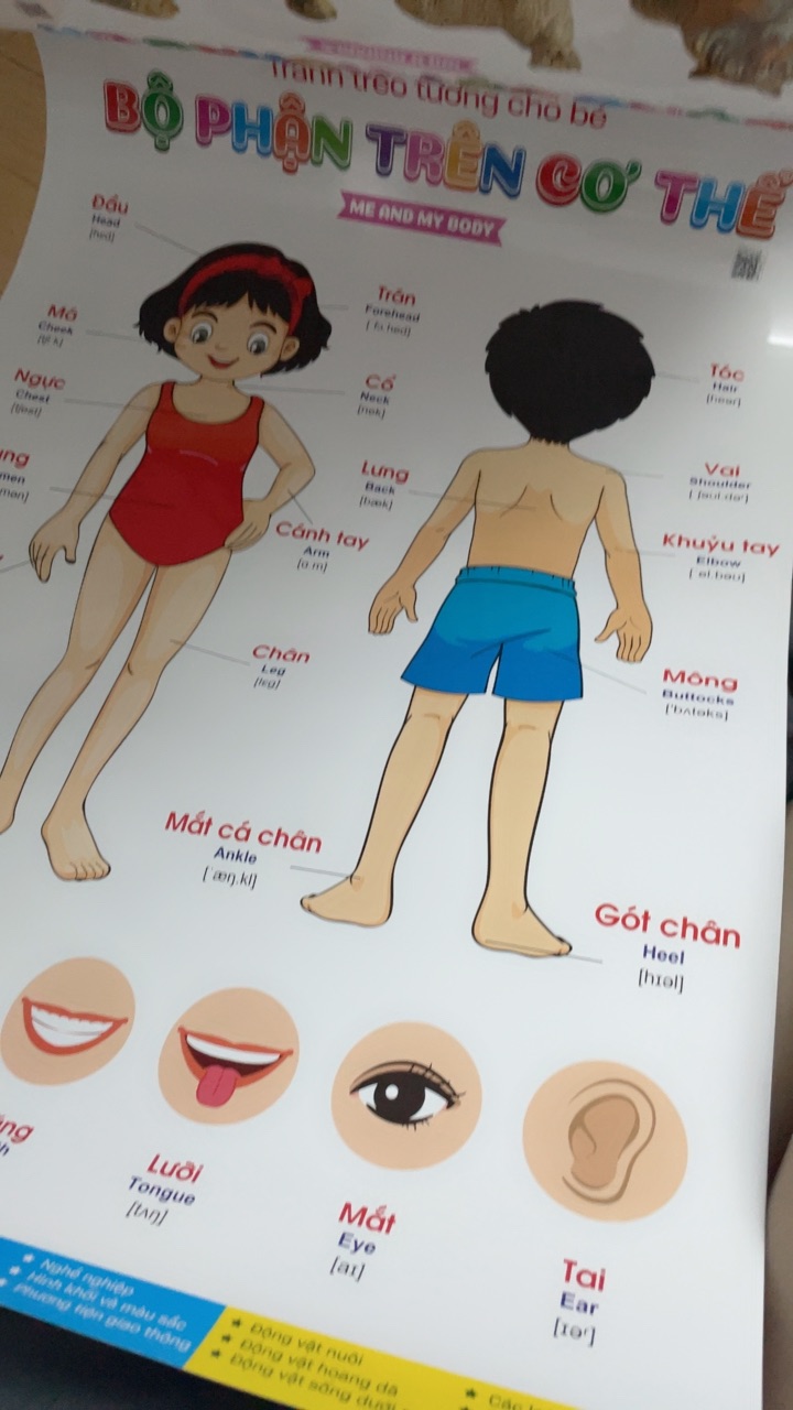 Ảnh đánh giá