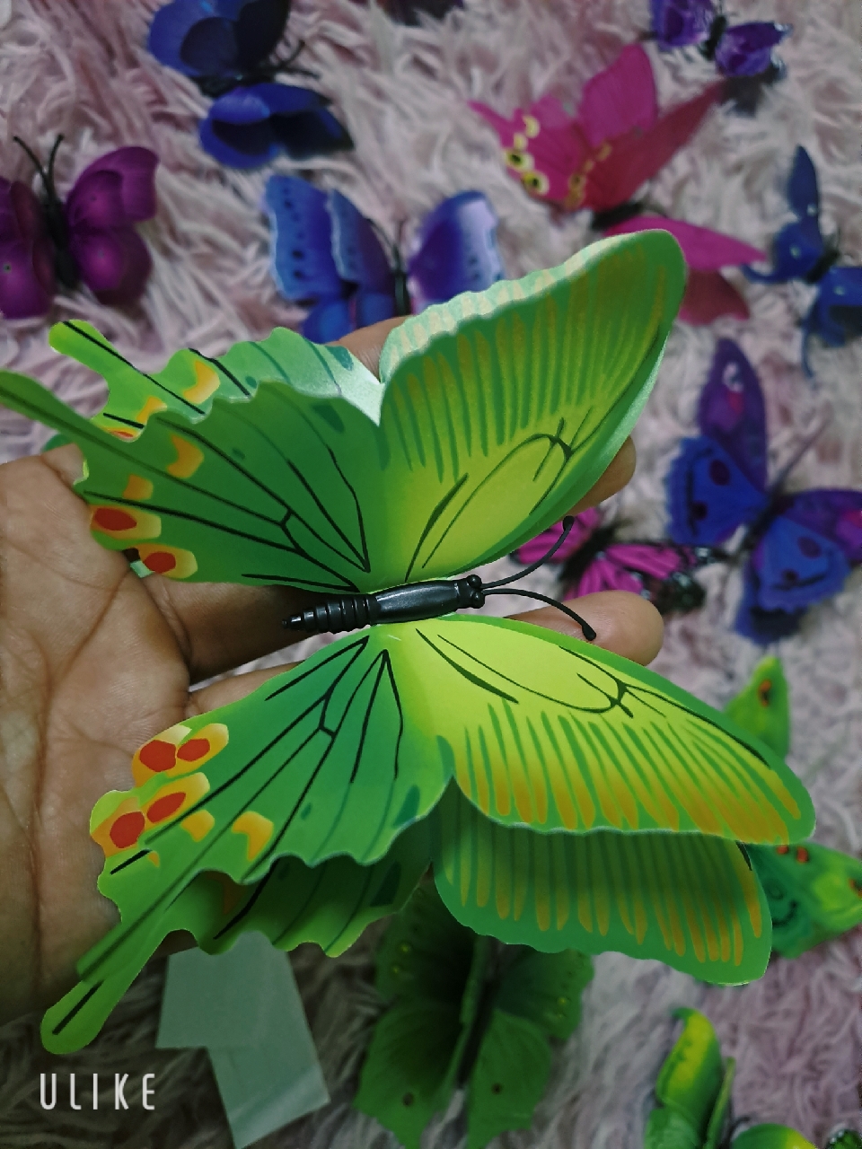 Ảnh đánh giá