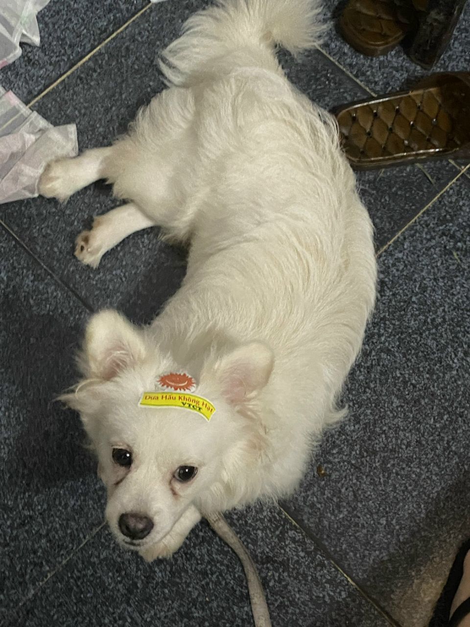 Ảnh đánh giá