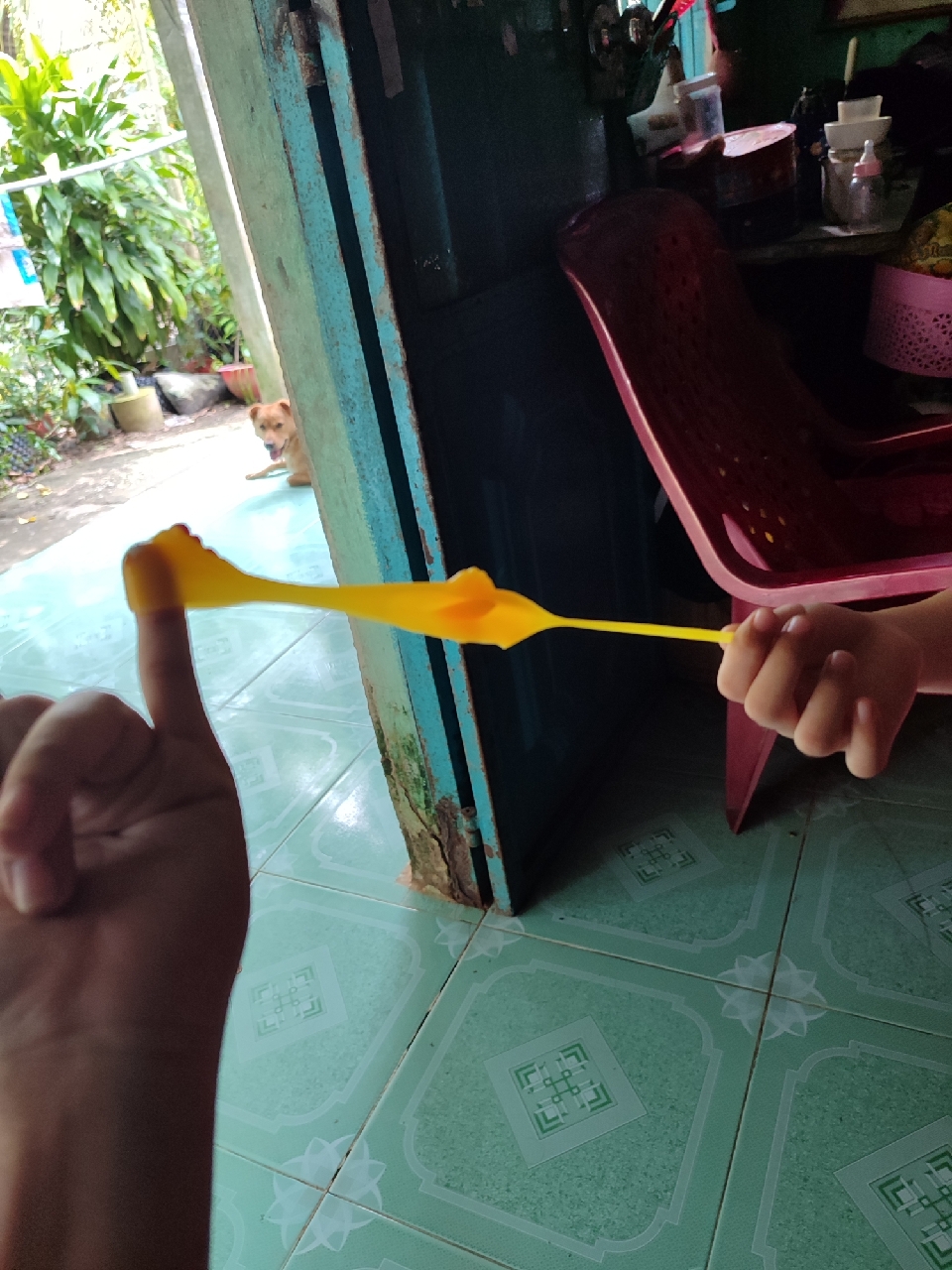 Ảnh đánh giá