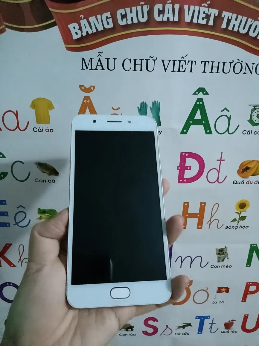 Ảnh đánh giá