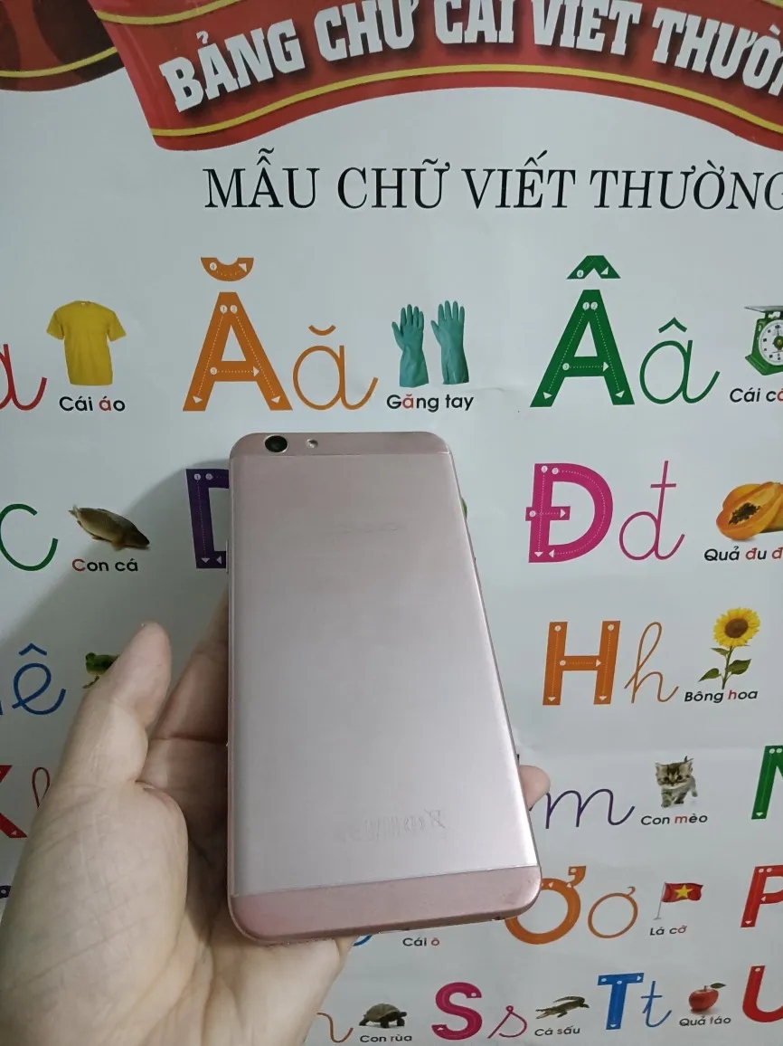 Ảnh đánh giá