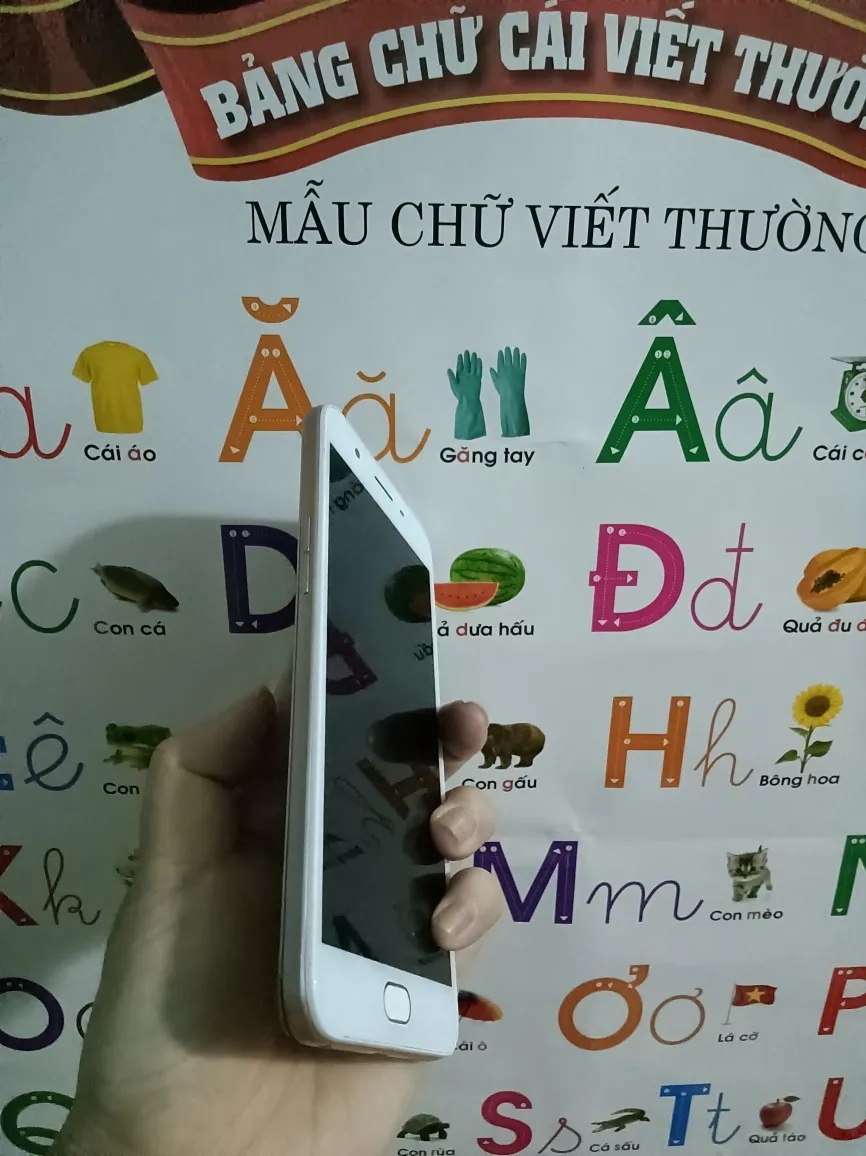Ảnh đánh giá