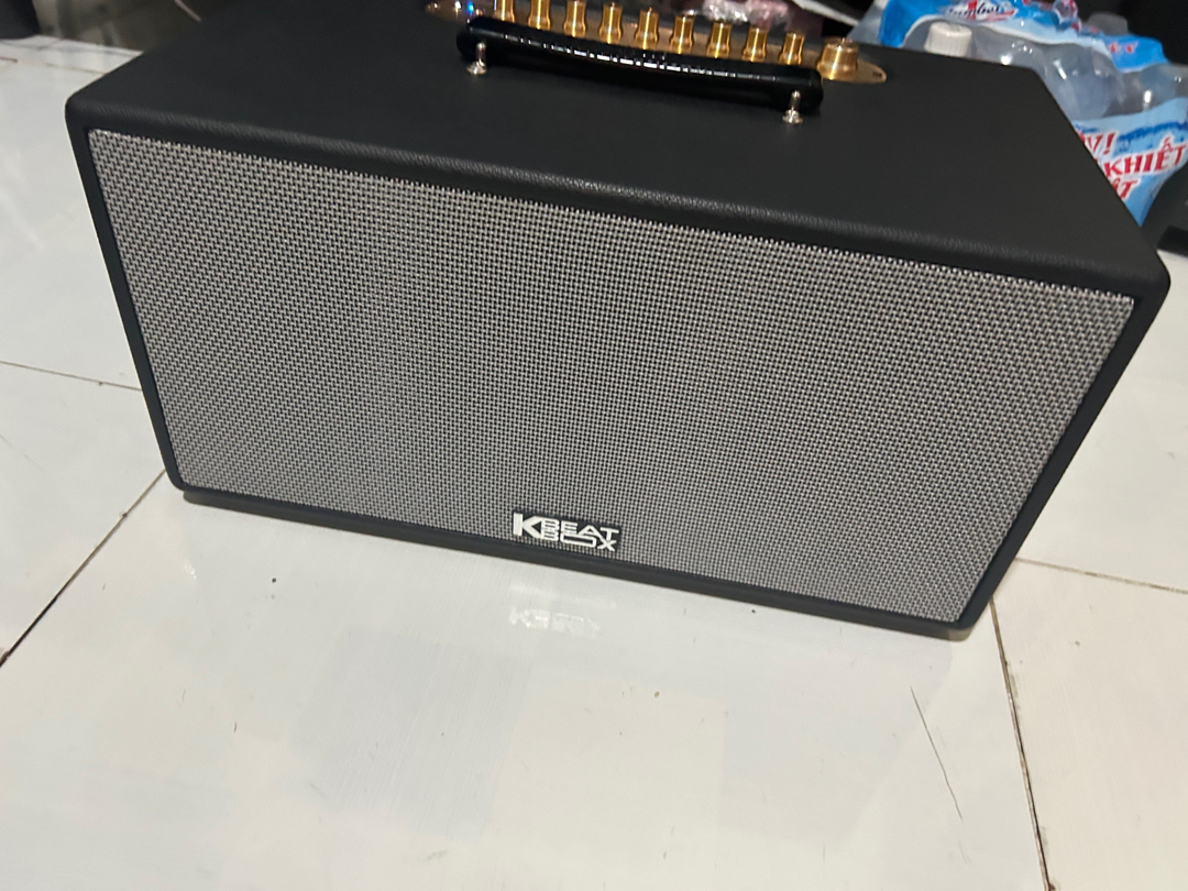 Mặt trước loa ACNOS CS446