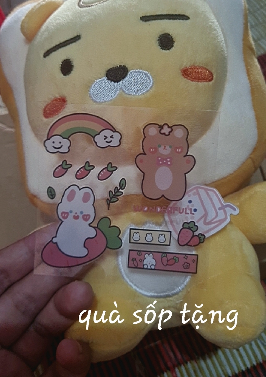 Ảnh đánh giá