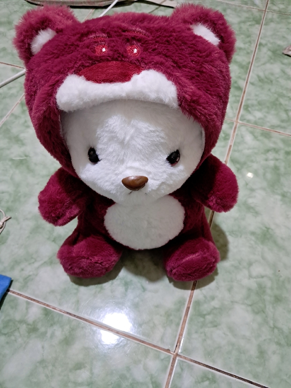 Ảnh đánh giá