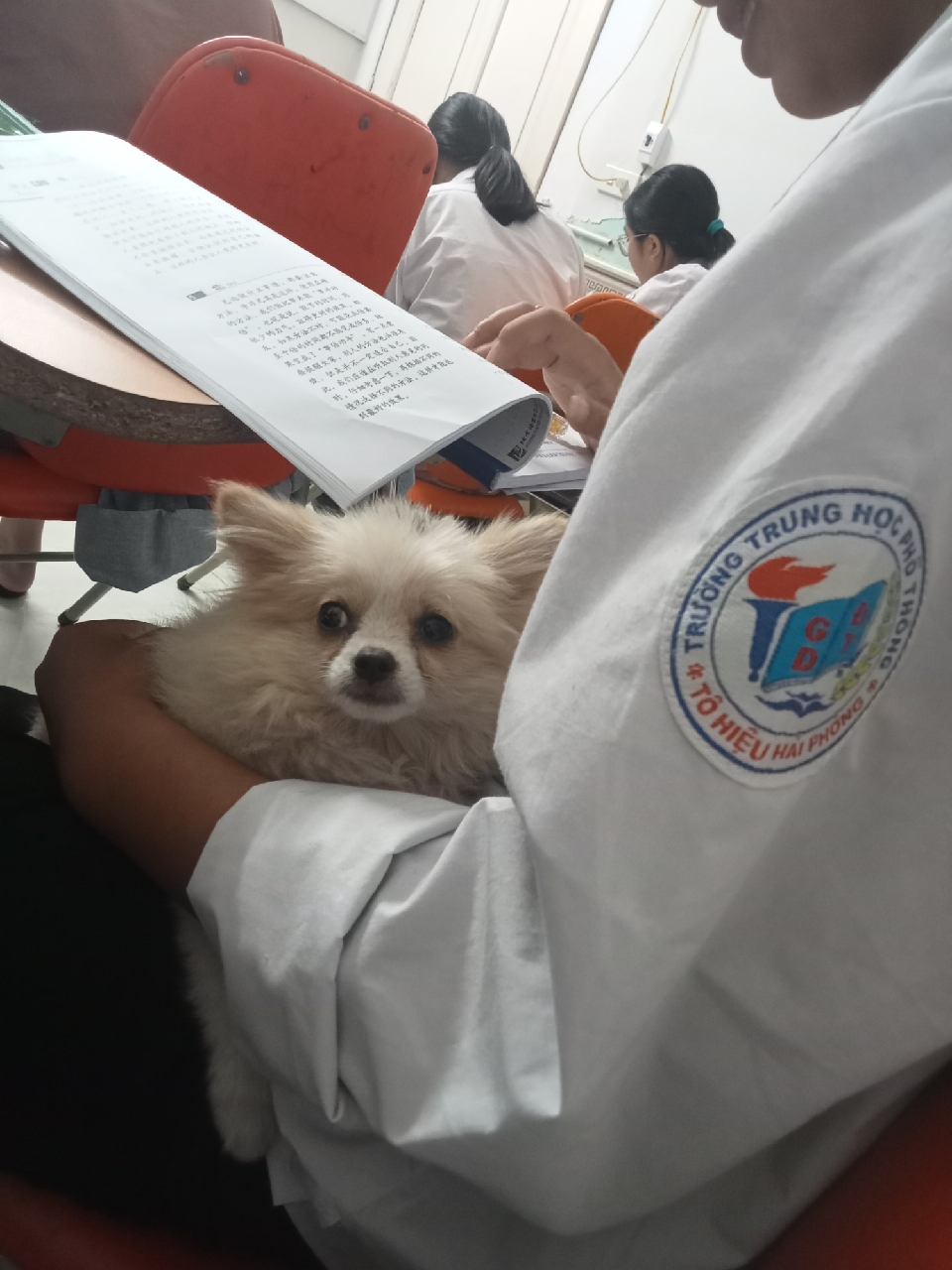 Ảnh đánh giá