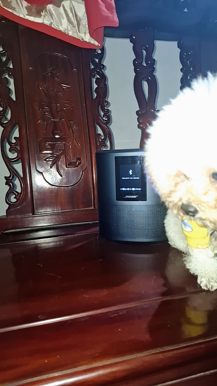 Mặt trước Bose Home Speaker 500
