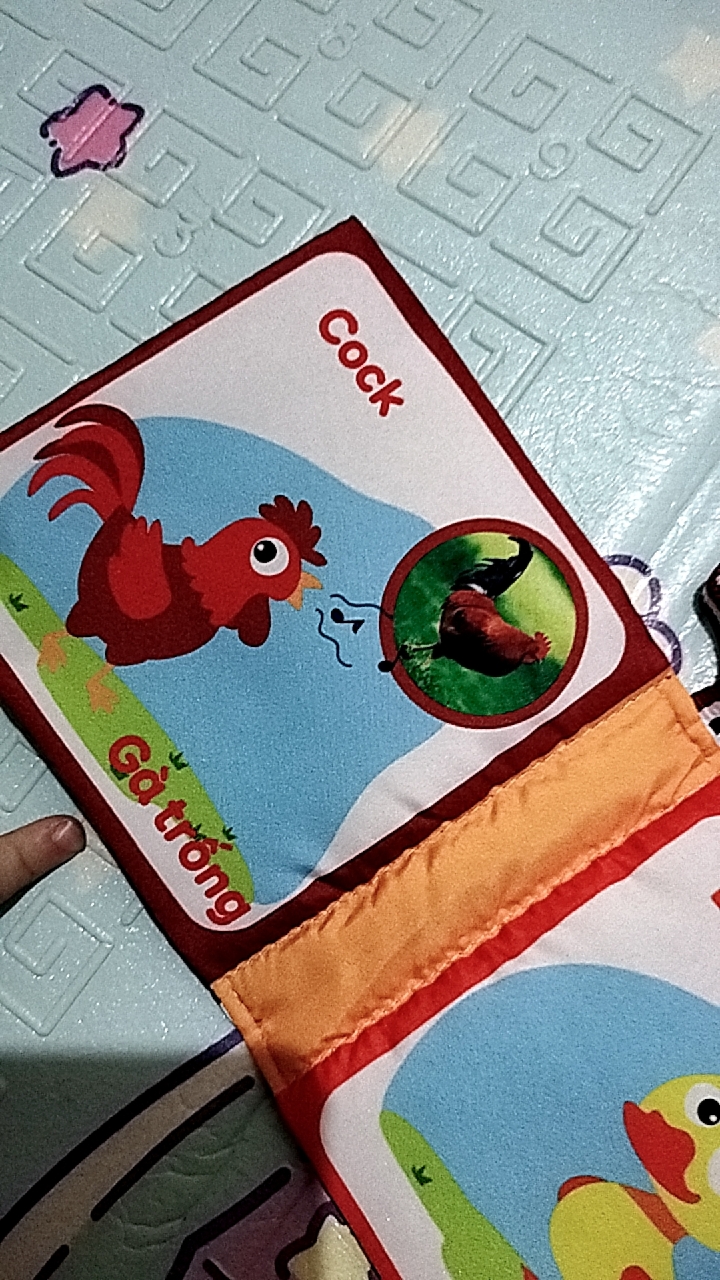Ảnh đánh giá