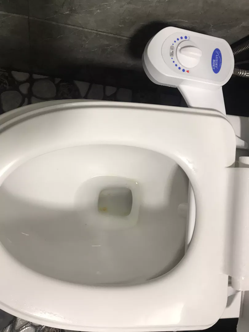 Ultra Slim Bidet Toilet Seat Sprayer Attachment photo review