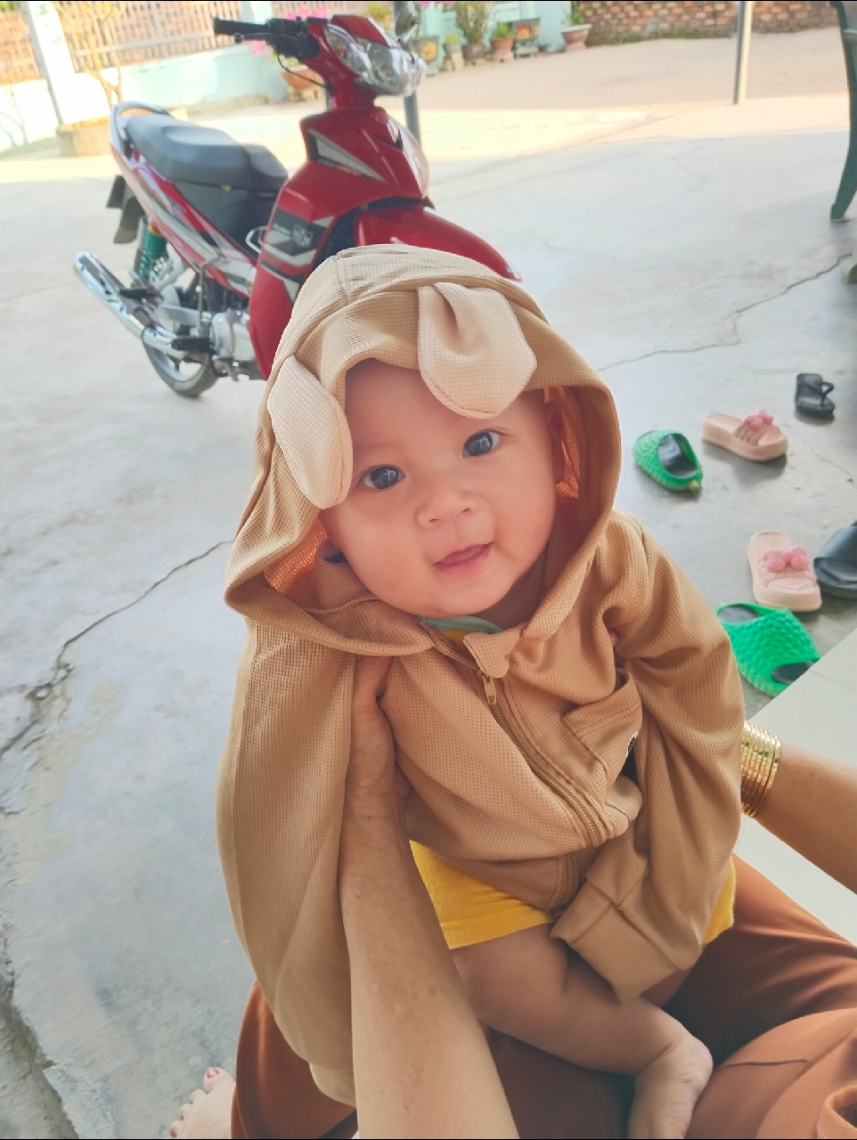 Ảnh đánh giá