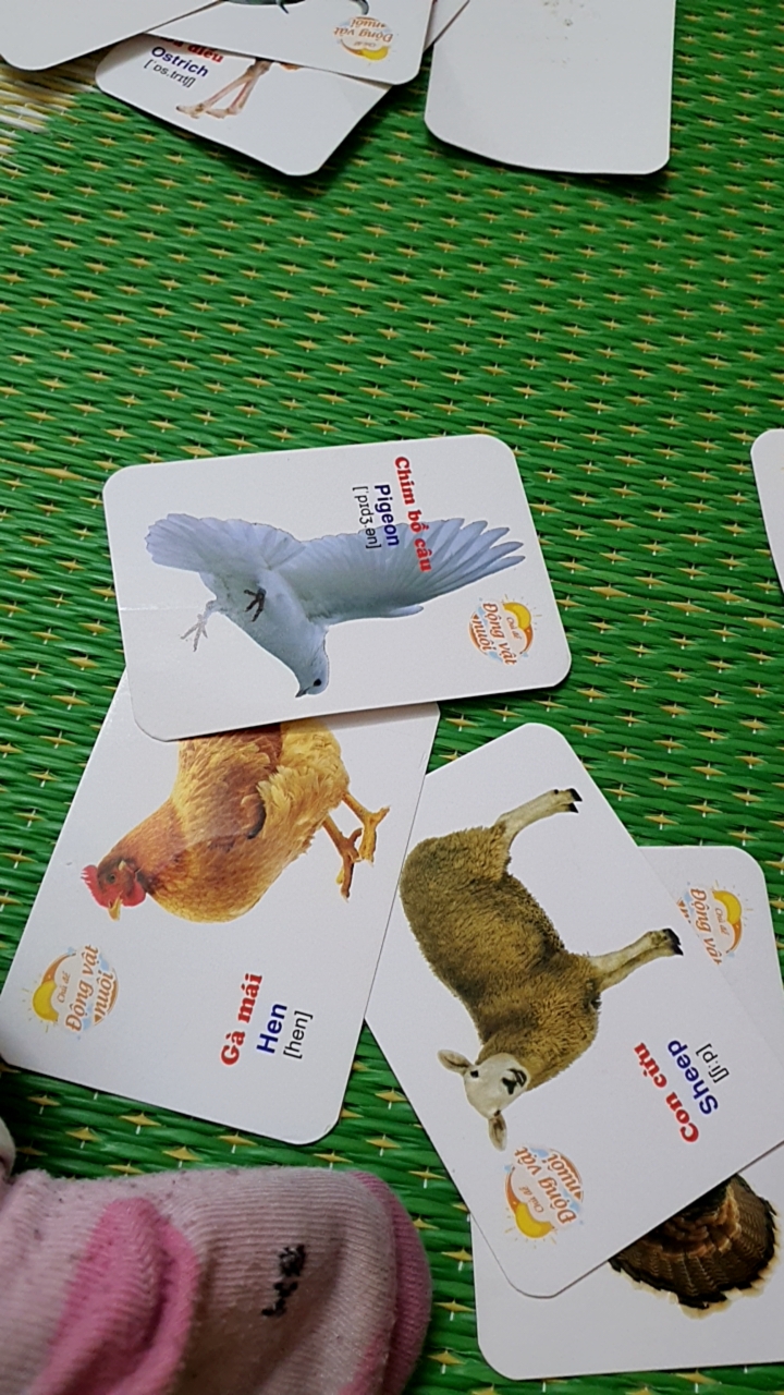 Ảnh đánh giá