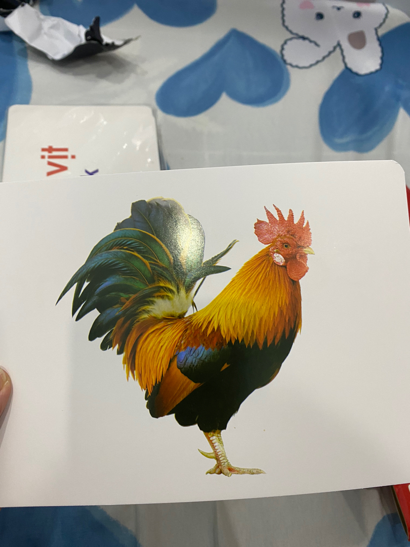 Ảnh đánh giá