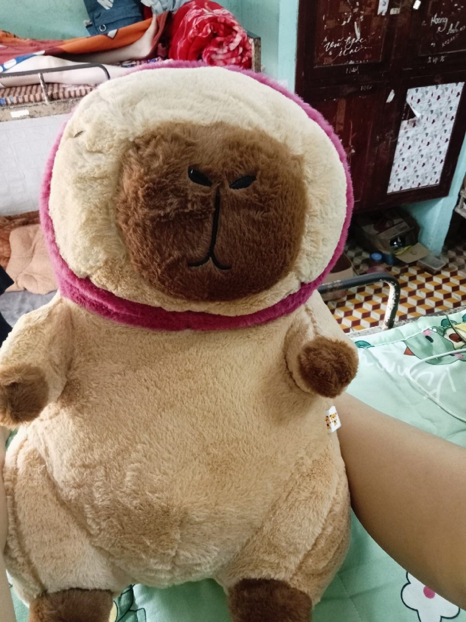 Ảnh đánh giá