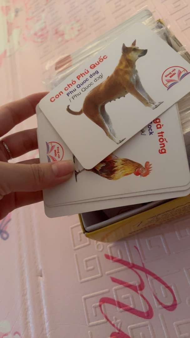 Thẻ flashcard hai mặt song ngữ