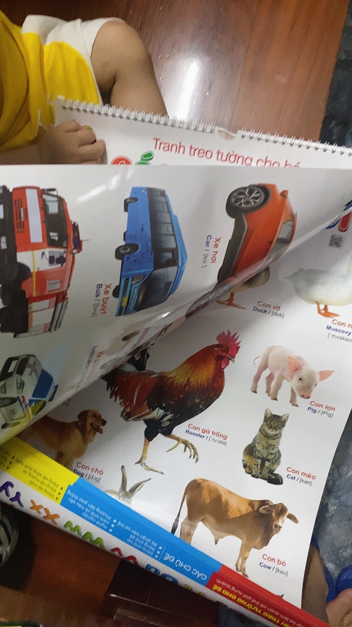 Ảnh đánh giá
