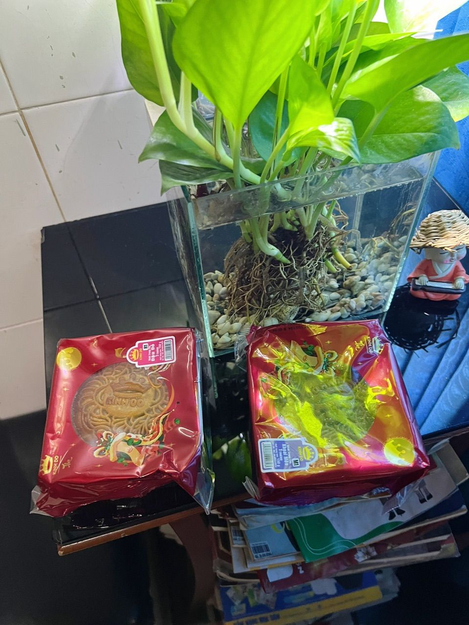 Ảnh đánh giá
