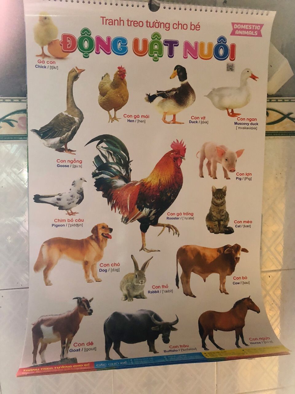 Ảnh đánh giá