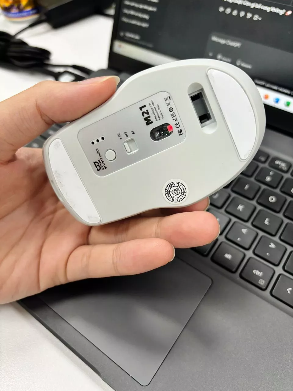 Thiết kế công thái học của chuột