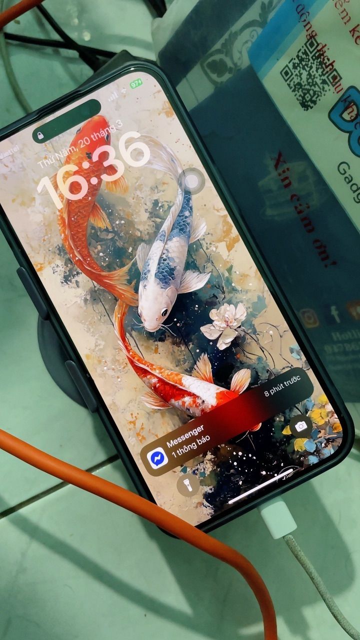 Ảnh đánh giá