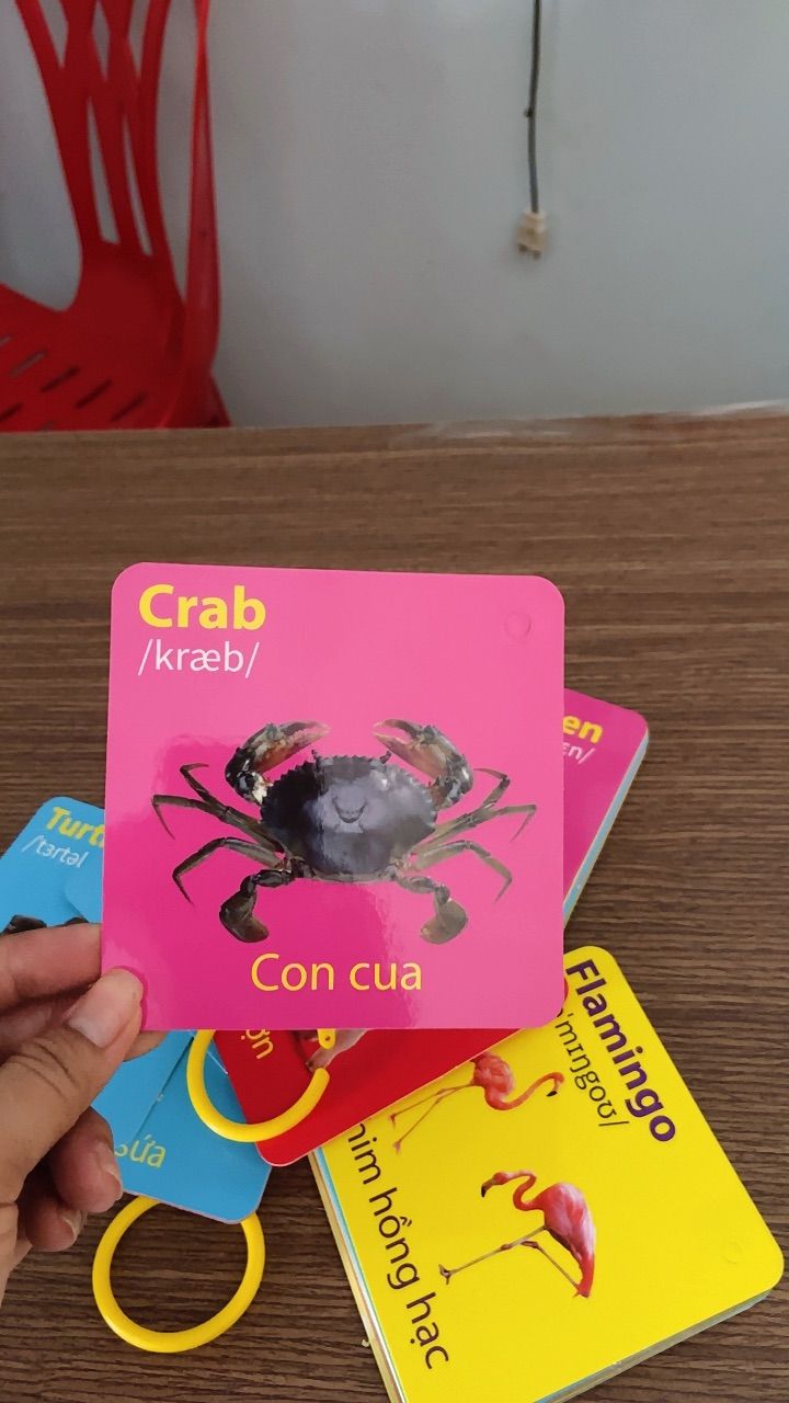 Ảnh đánh giá