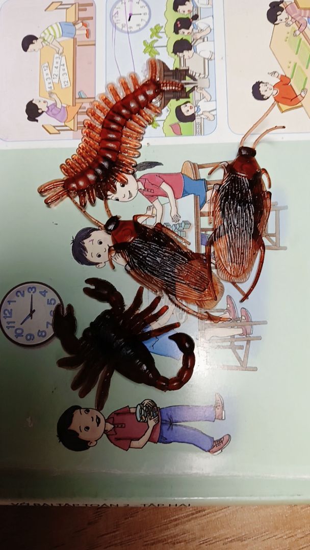 Ảnh đánh giá