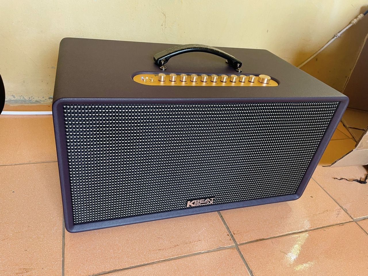 Mặt trước loa ACNOS CS201PLUS