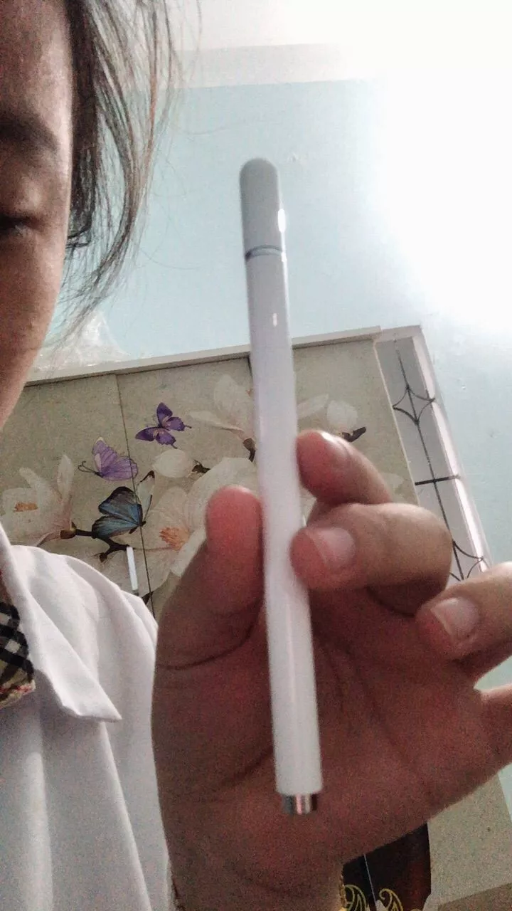 Bút cảm ứng hai đầu