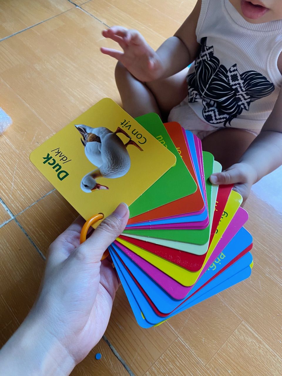 Ảnh đánh giá
