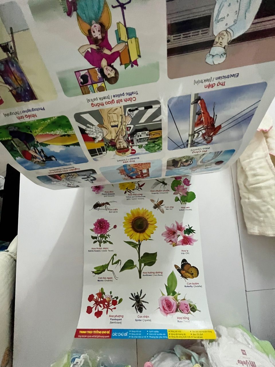 Ảnh đánh giá