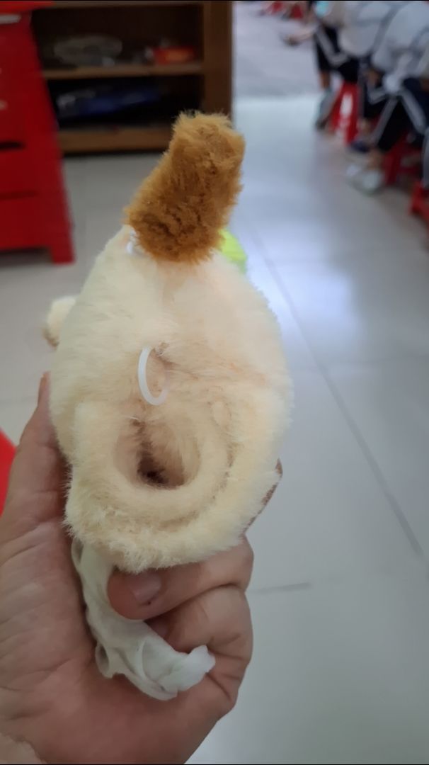 Ảnh đánh giá