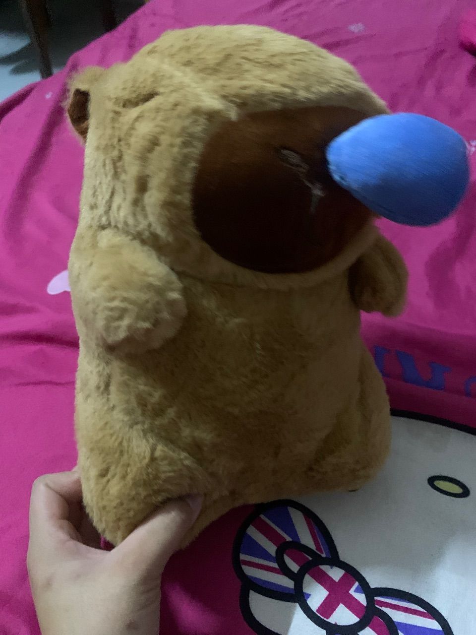 Ảnh đánh giá