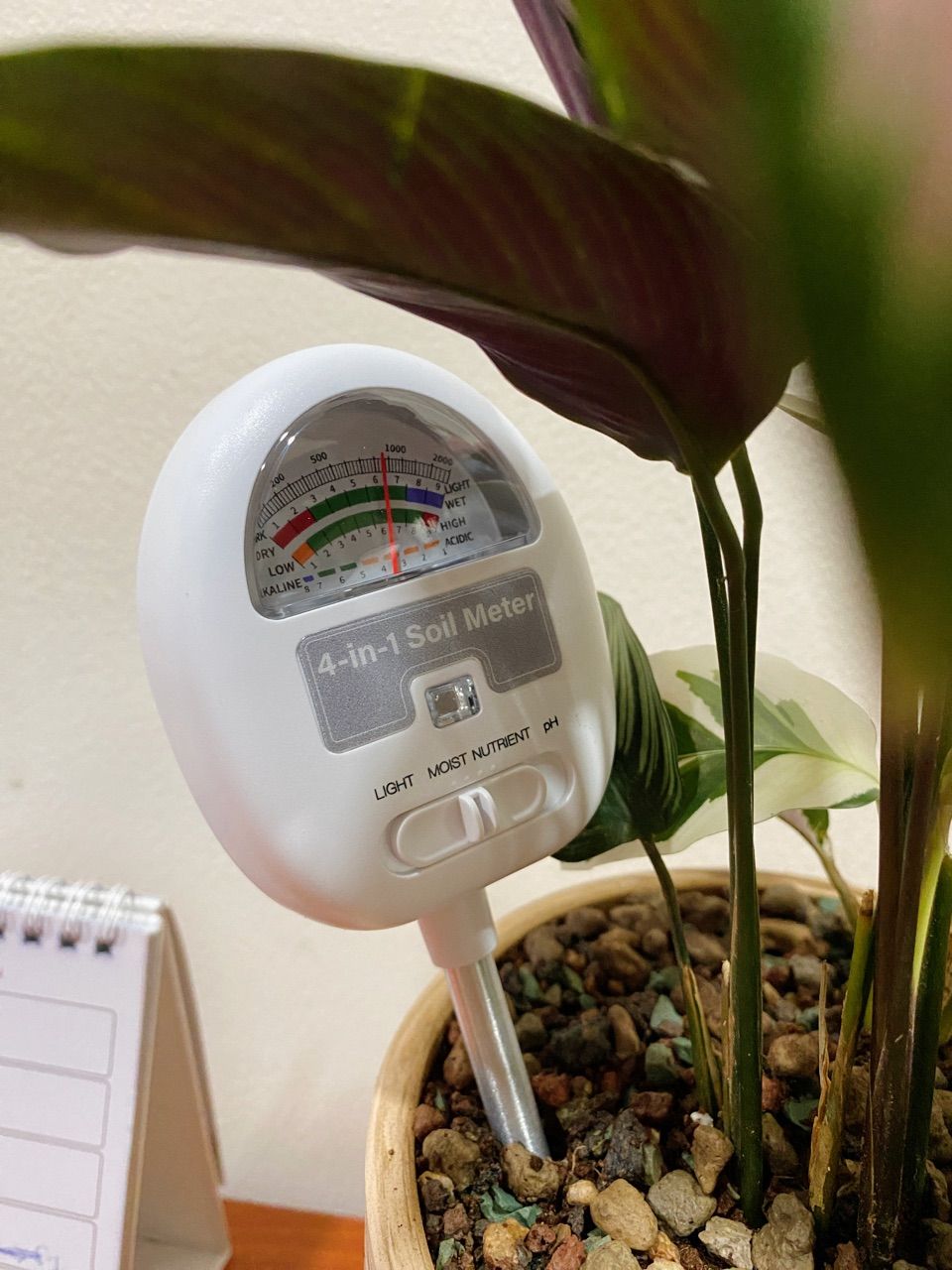 Máy đo độ pH cầm tay