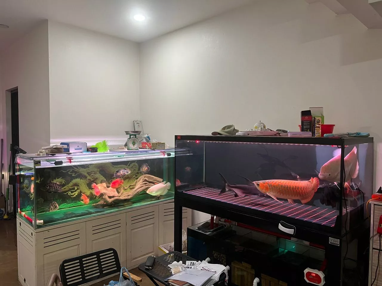 Feedback thực tế của khách hàng sử dụng đèn Mayin dạng thanh