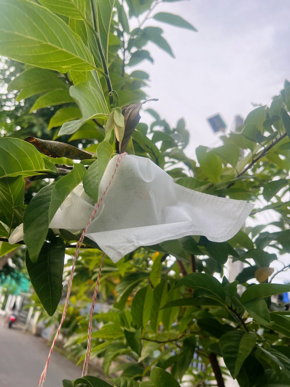 Ảnh đánh giá