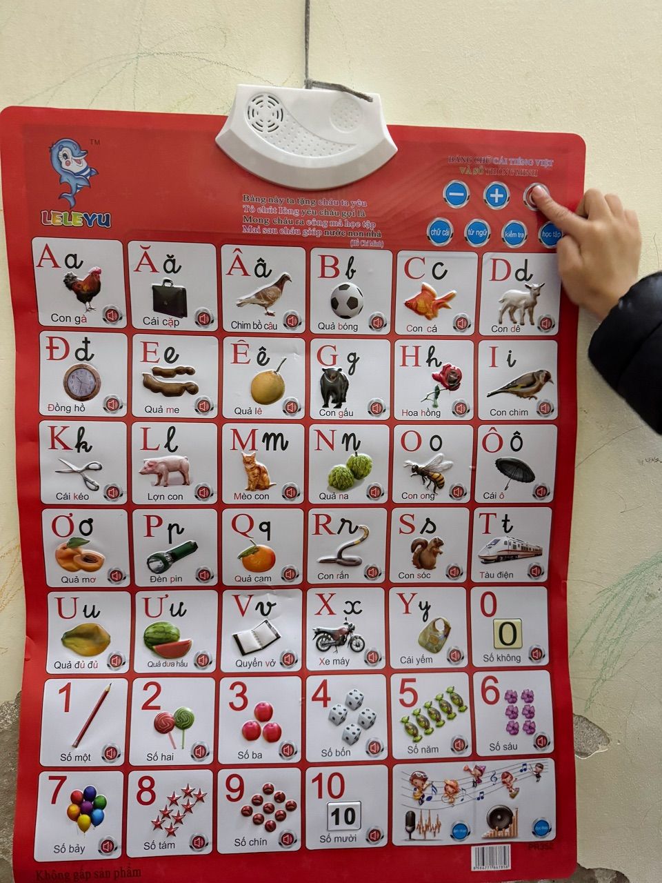 Ảnh đánh giá