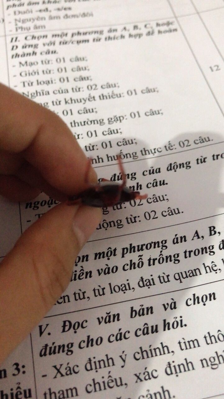 Ảnh đánh giá