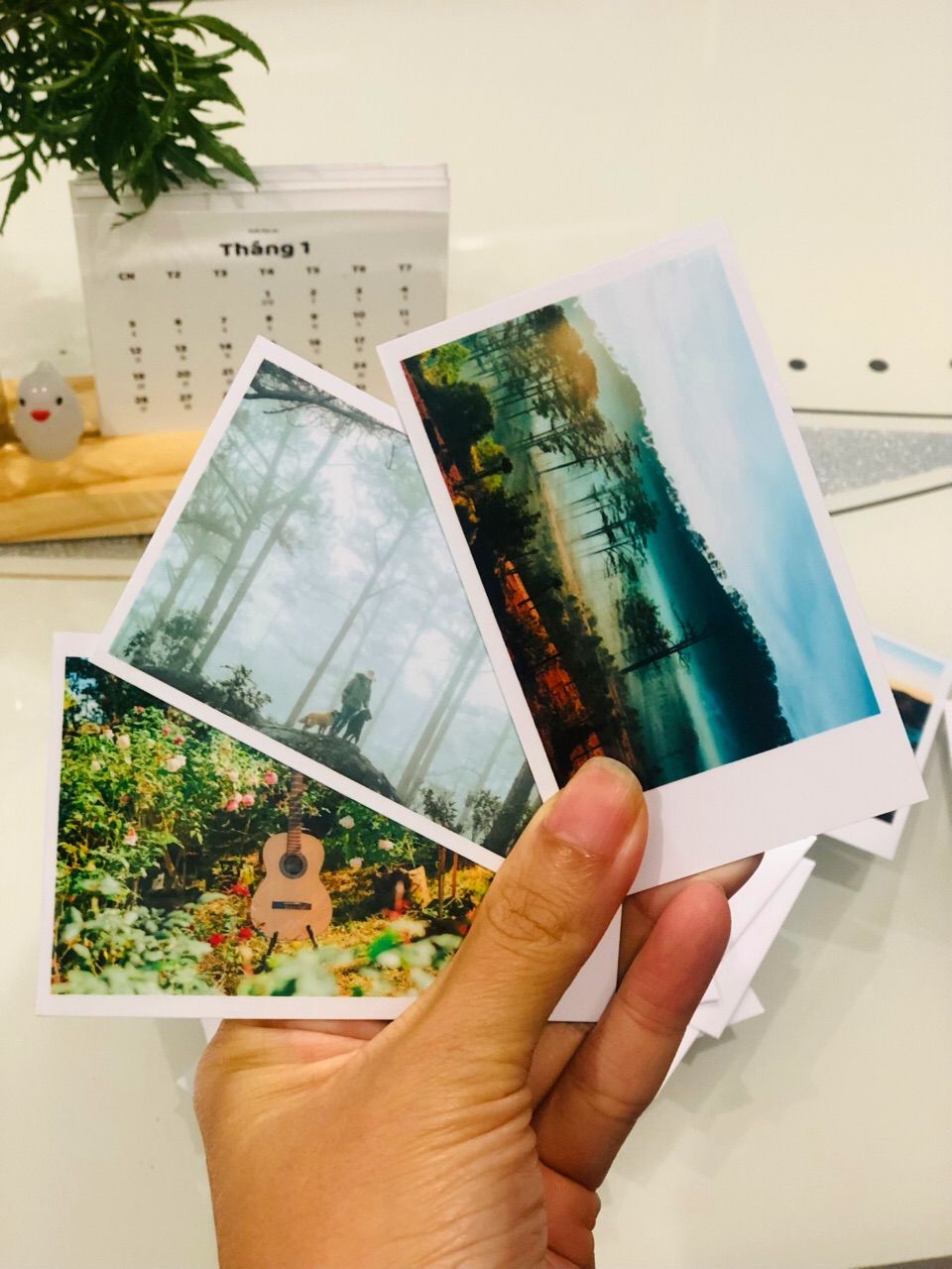 Ảnh đánh giá