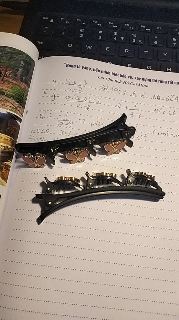 Review image